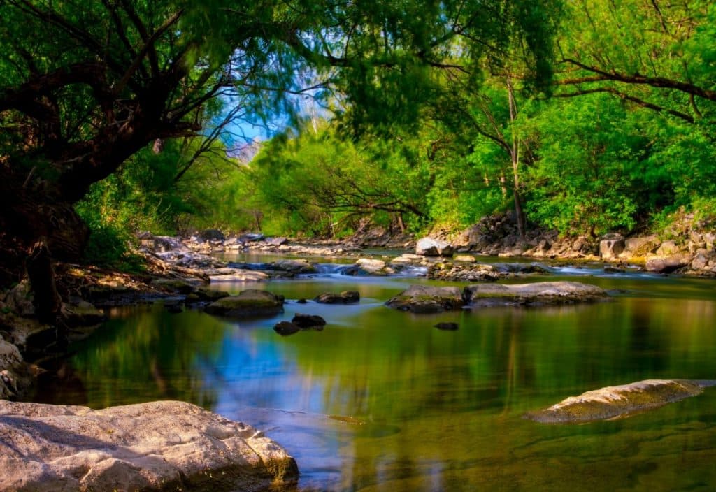 fly fishing Spring Creek
