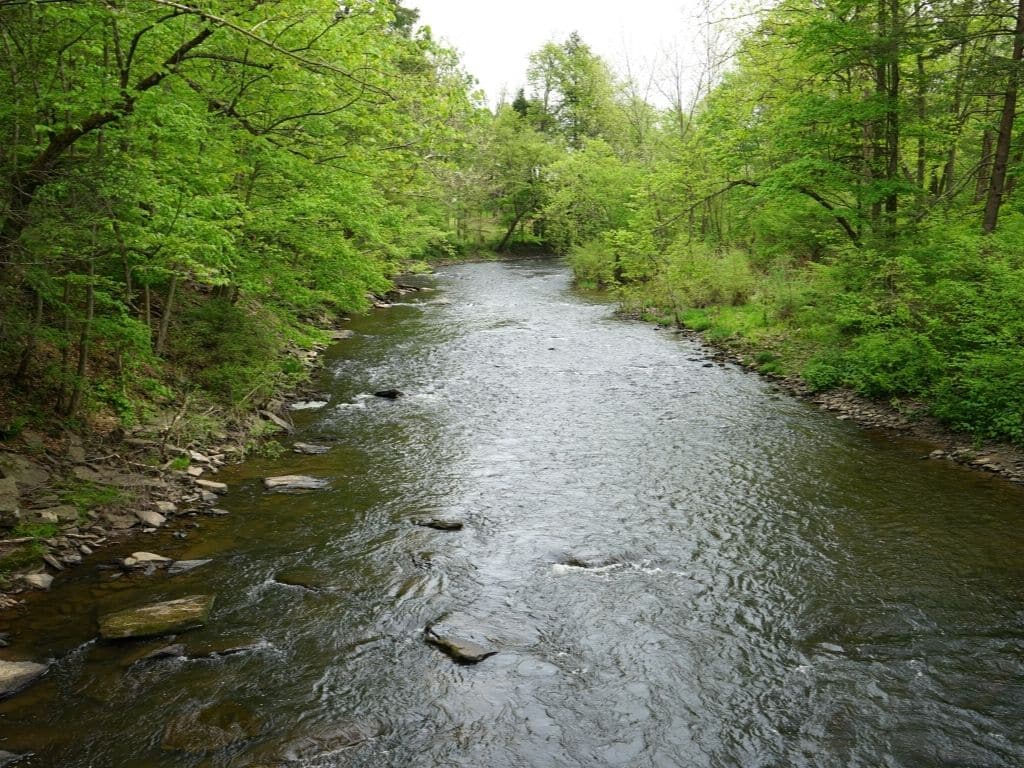 fly fishing spring creek PA