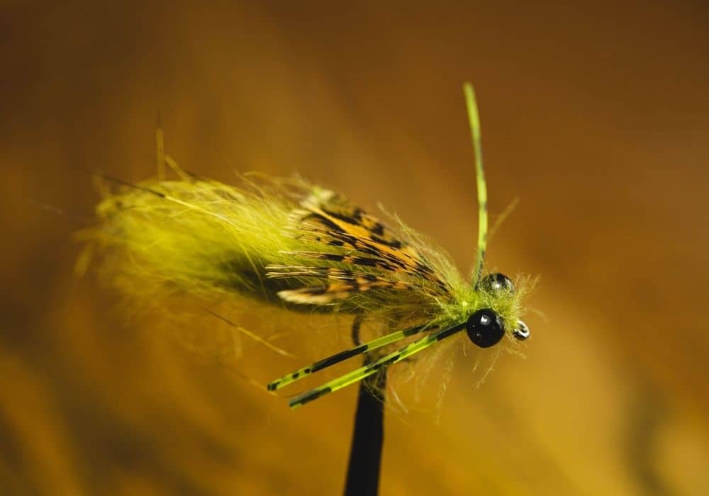 10 Best Stillwater Trout Flies (2023 Buyer’s Guide)