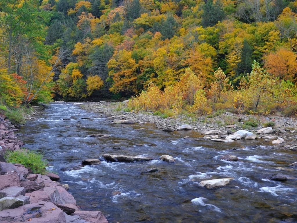 spring creek fly fishing