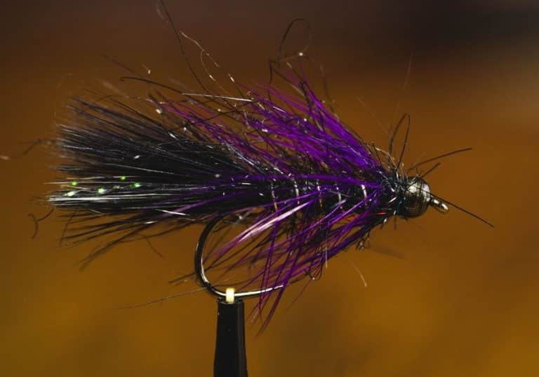 10 Best Wet Flies For Trout (2023 Buyer's Guide) Into Fly Fishing