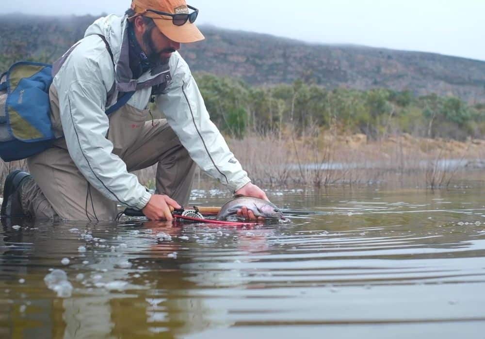 Stillwater Fly-Fishing Secrets