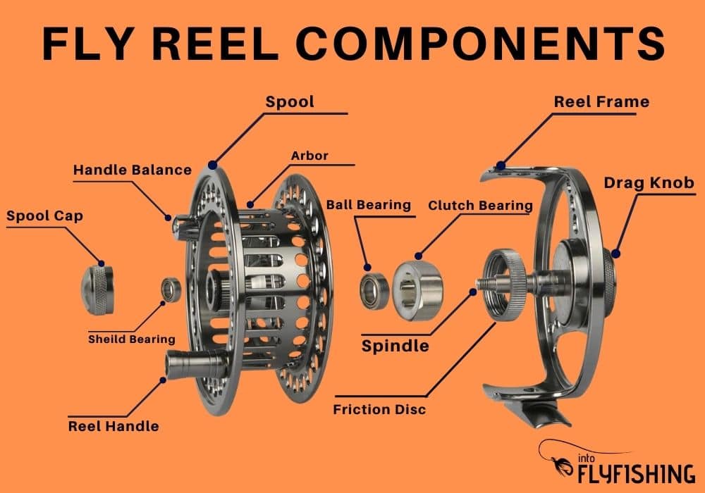 Top 7 Best Saltwater Fly Reels (2023 Buyer's Guide) - Into Fly Fishing