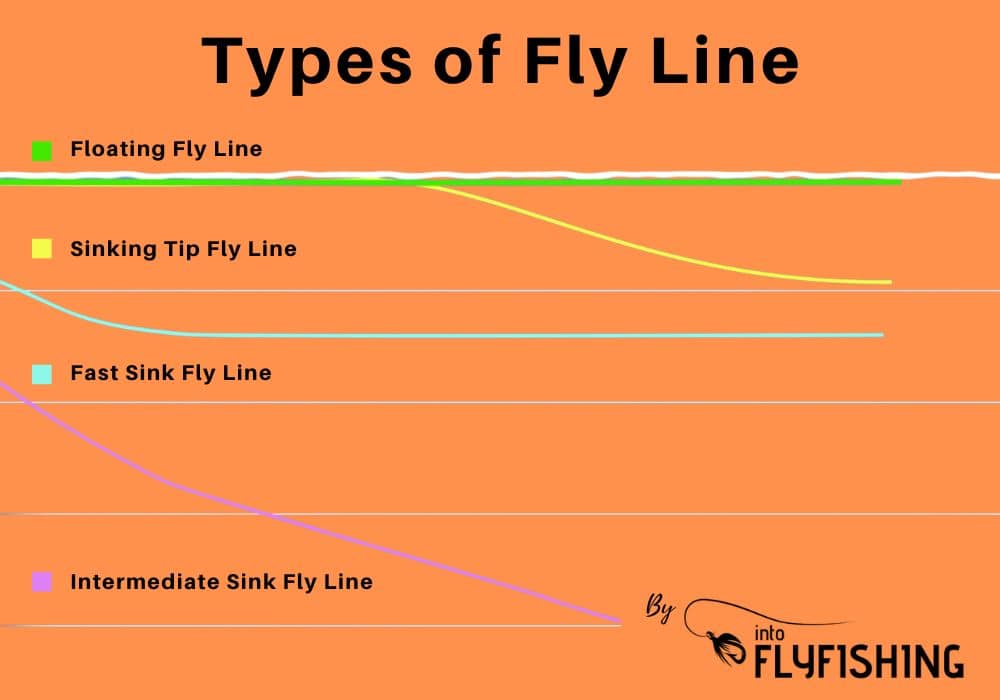 Intermediate Fly Line: When to Use