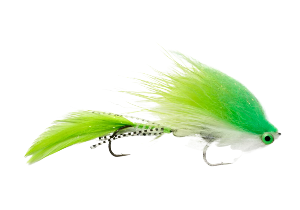 What Do Rainbow Trout Eat? Into Fly Fishing