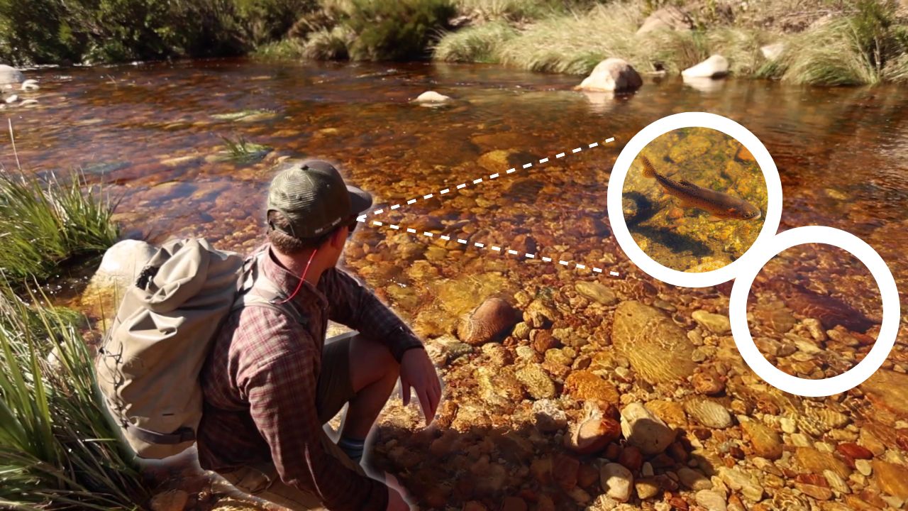 10 Best Fly Fishing Sunglasses (2023 Buyer's Guide) Into Fly Fishing