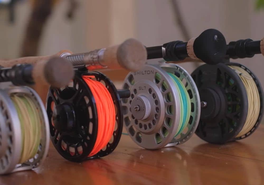 Saltwater Fly Fishing Gear (What to Pack on a Trip) - Into Fly Fishing