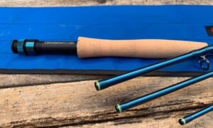 Budget Fly Rods Top 10 Best Budget Fly Rods in 2026 - Into Fly Fishing