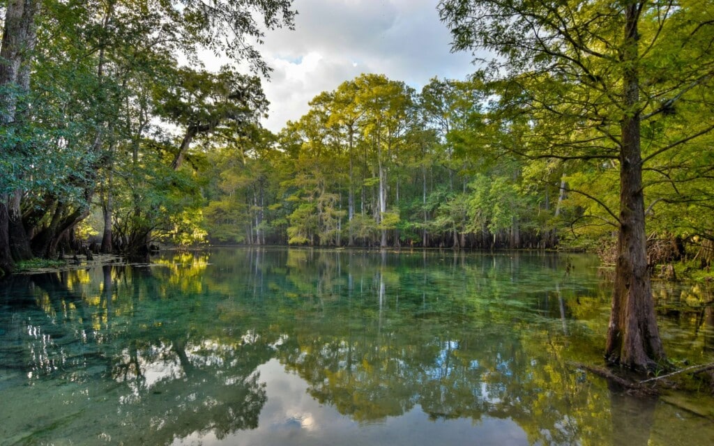 fly fishing the Suwanee river