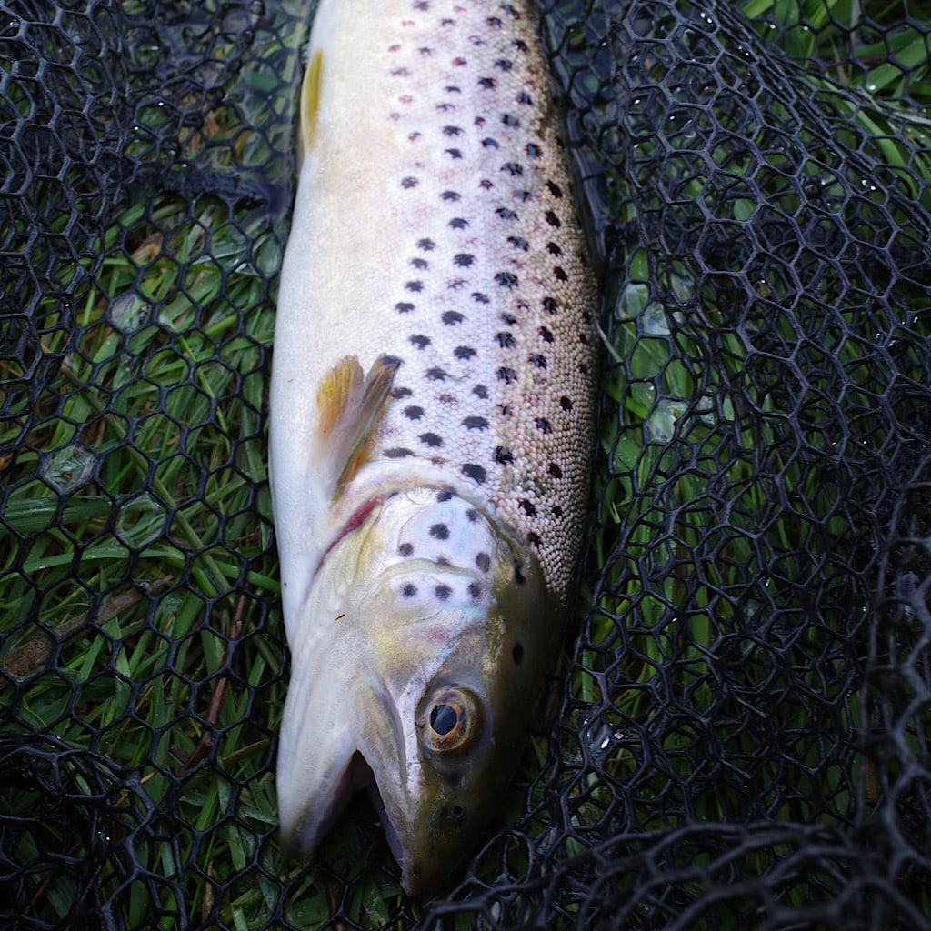 Fly Fishing in England: A Guide To The Best Spots - Into Fly Fishing