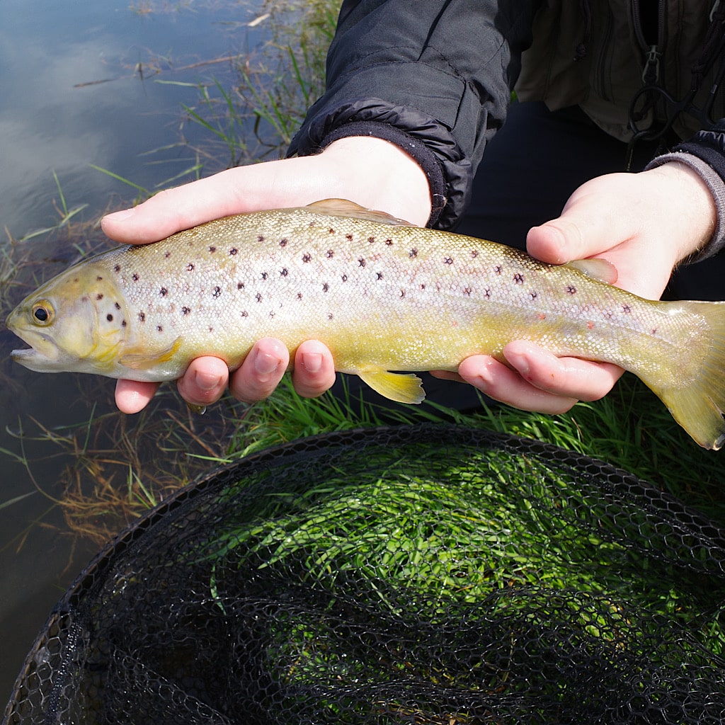 Fly Fishing in England: A Guide To The Best Spots - Into Fly Fishing