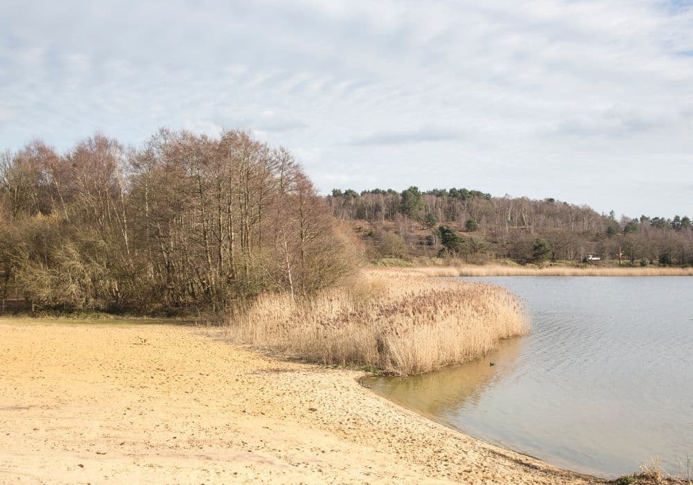 Frensham Greatpond