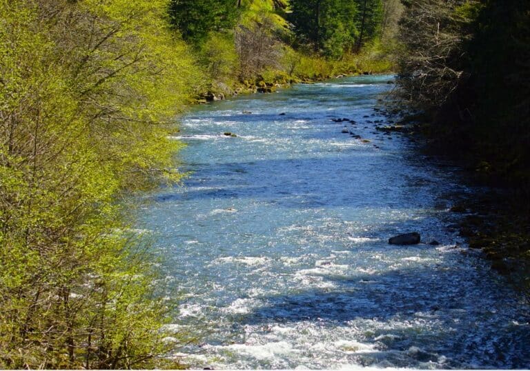 Fly Fishing Rock Creek (A Local’s Guide) Into Fly Fishing