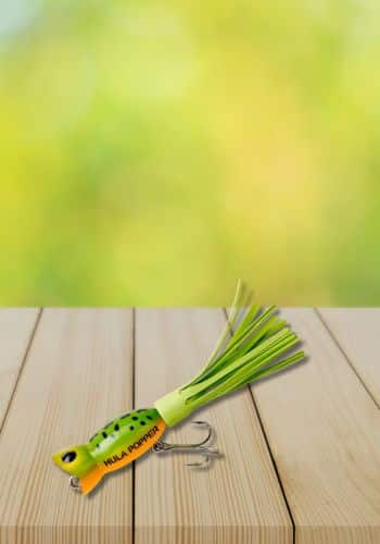 10 Best Bass Poppers: Effective Patterns & When To Fish Them - Into Fly  Fishing