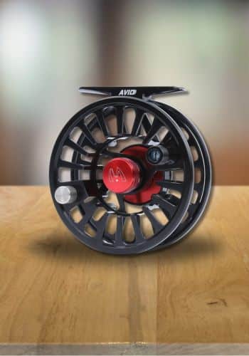 Piscifun Platte Review - Best Reel For Low $100's On the Market? - McFly  Angler Gear Reviews 