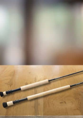 Best Saltwater Fly Rod Under $300