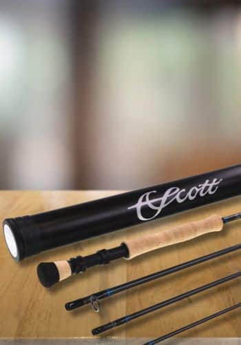 5 Best Saltwater Fly Rods (2023 Buyer's Guide) - Into Fly Fishing