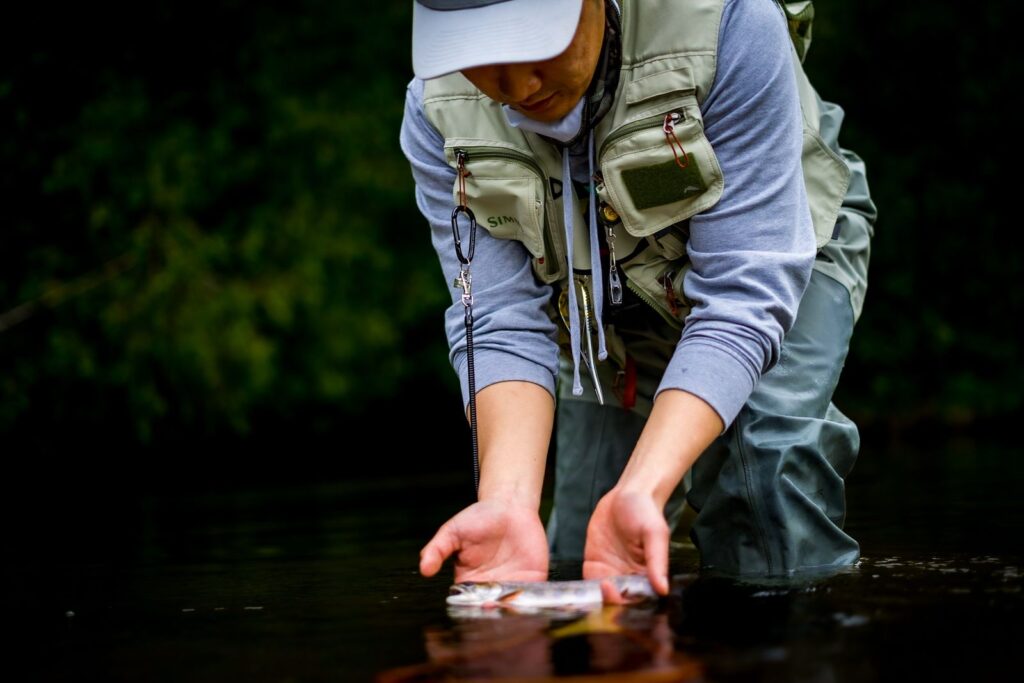 An angler releases a trout back into a clear stream