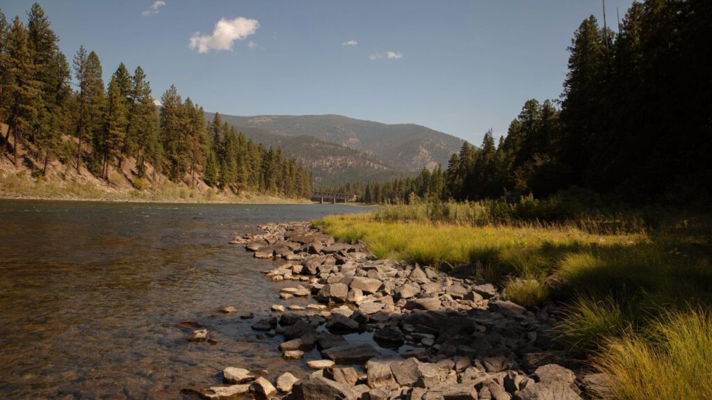 The upper Beaverhead River flowing through a wooded Montana canyon