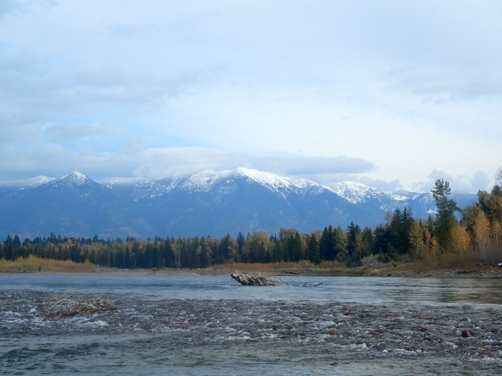 A Montana river with snow-capped mountains and fall foliage