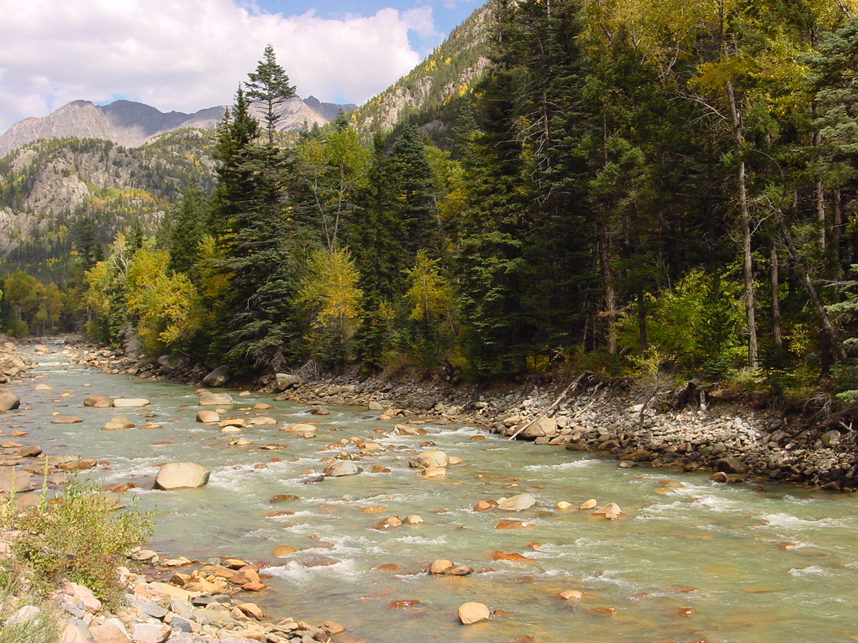 Boulder-strewn freestone pocket water on the Animas River, Colorado, the structure that holds Animas trout