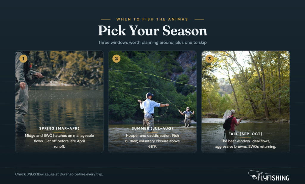 Three seasonal panels for fly fishing the Animas River: spring midge fishing, summer casting, and fall brown trout season