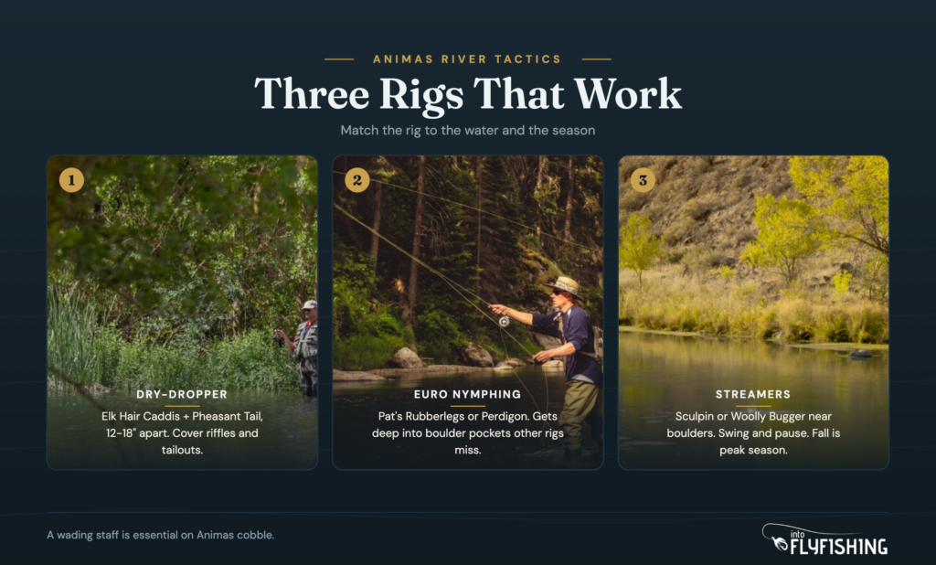 Three fly fishing tactics for the Animas River: dry-dropper rig, euro nymphing in deep pockets, and streamer fishing near boulders