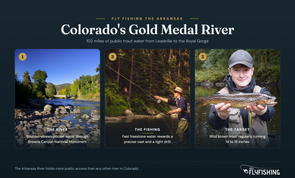 Arkansas River Colorado fly fishing overview: the river, Browns Canyon, and wild brown trout
