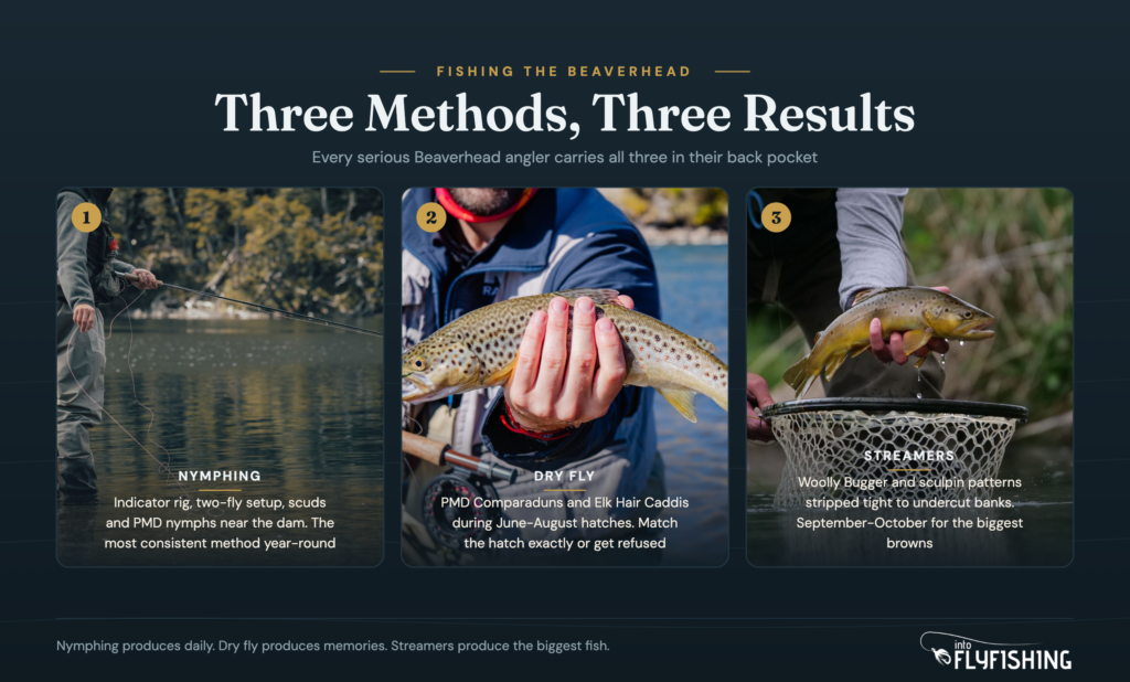 Three fly fishing tactics for the Beaverhead River: nymphing, dry fly, and streamer fishing compared