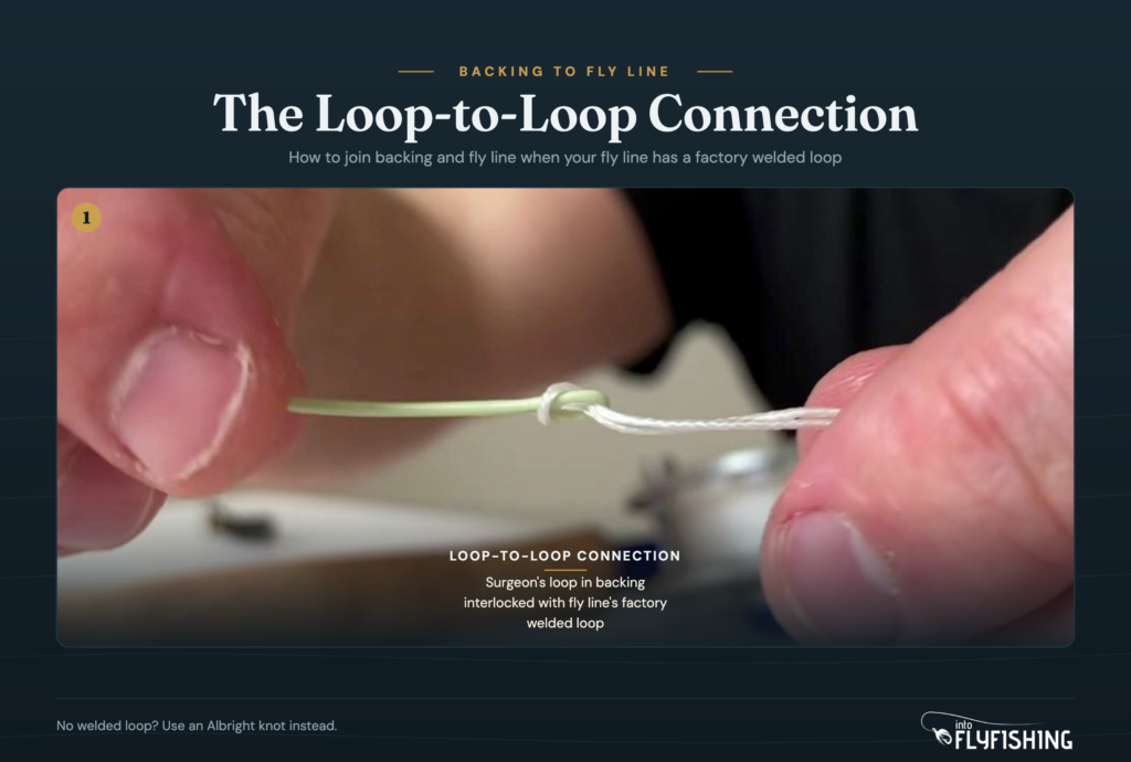 Loop-to-loop connection between dacron backing and fly line, interlocked surgeon's loops
