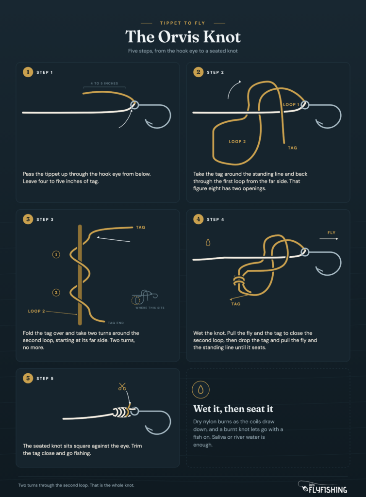 The Orvis knot in five steps: tippet up through the hook eye, the tag around the standing line to form a figure eight, two turns around the second loop, wetting and closing in two pulls, and the seated knot trimmed