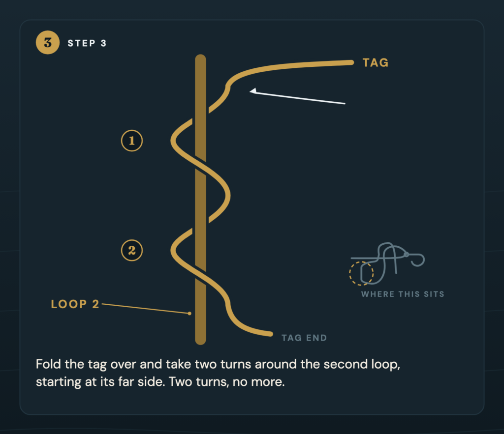 Close up of the two turns around the second loop of the Orvis knot, with the tag traced from where it arrives, around the loop twice, to where it runs out
