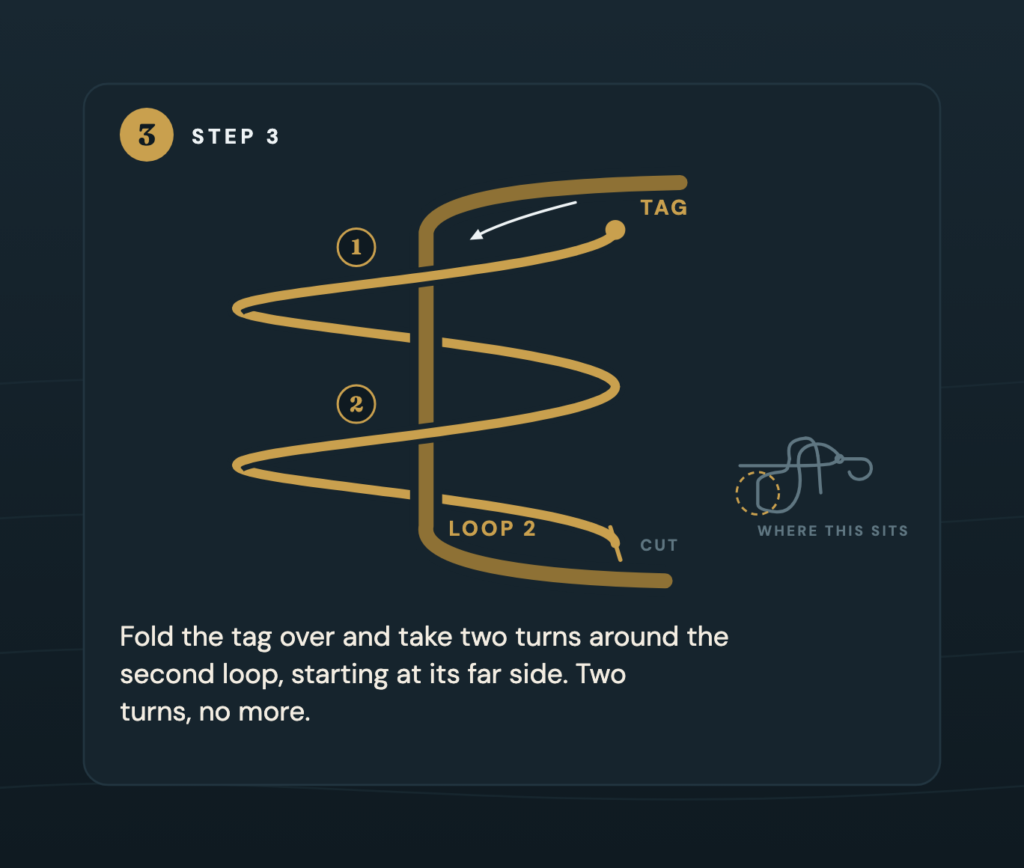 Close up of the two turns around the second loop of the Orvis knot, with the tag end traced from its start to the trimmed end