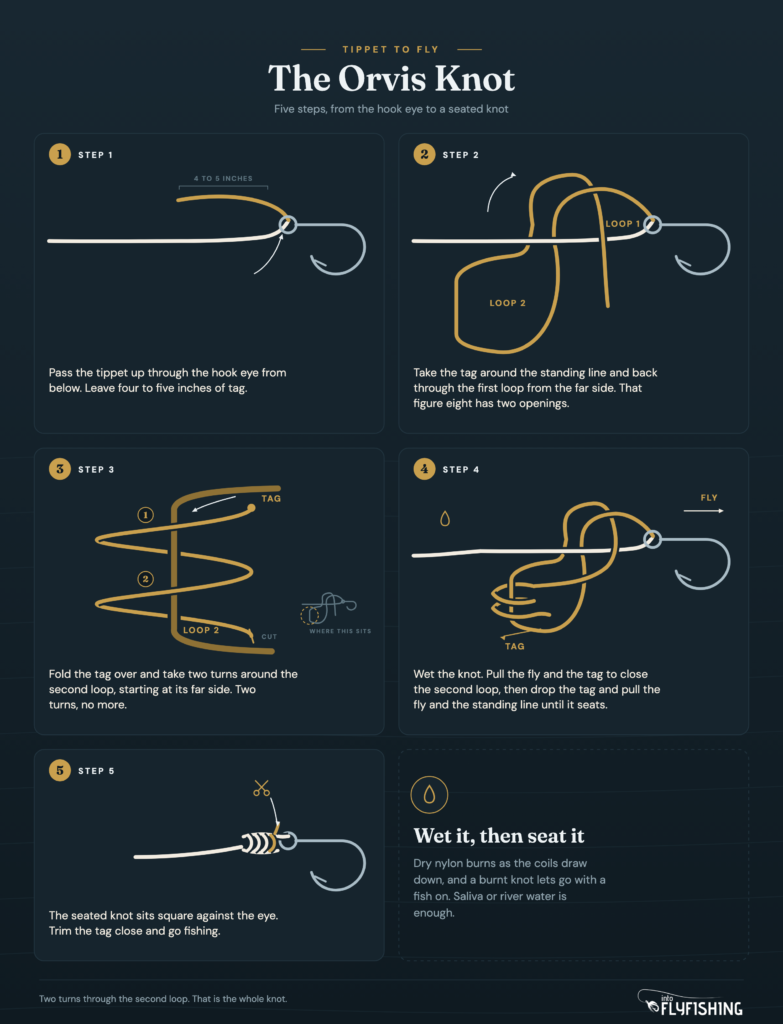 The Orvis knot in five steps: tippet up through the hook eye, the tag around the standing line to form a figure eight, two turns around the second loop, wetting and closing in two pulls, and the seated knot trimmed