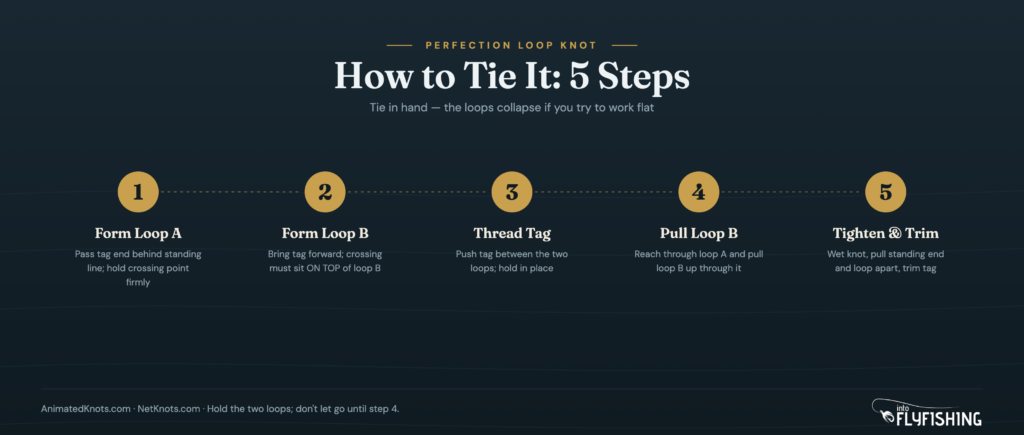 Five-step diagram showing how to tie the Perfection Loop from forming loop A to tightening and trimming