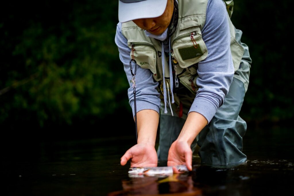 Angler releasing a trout back into a river; catch-and-release applies to rainbow trout in certain sections of the Arkansas River