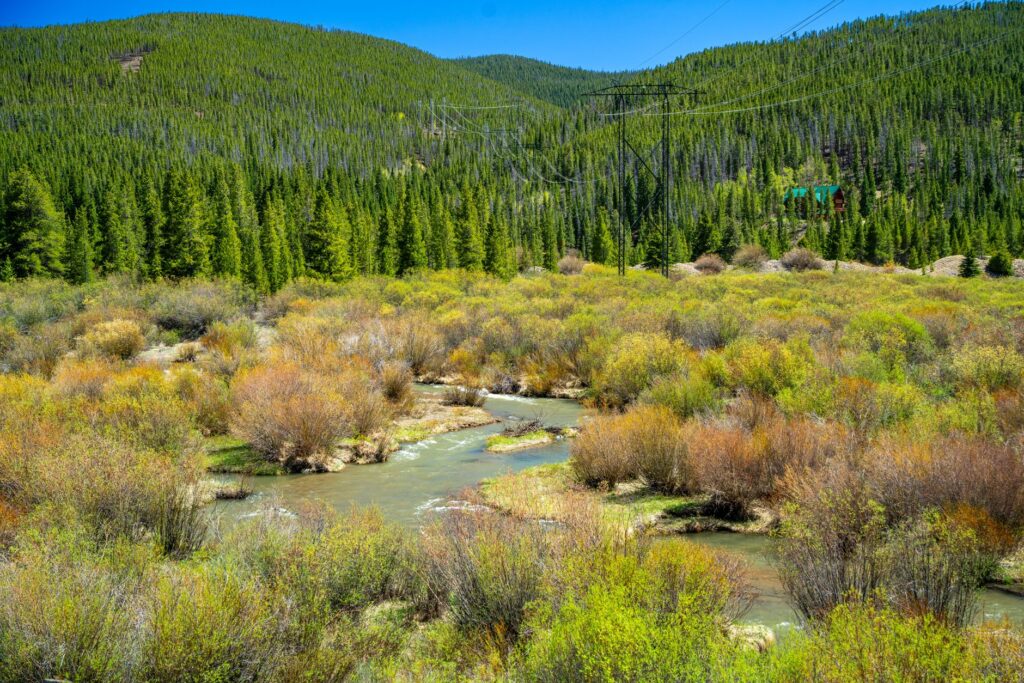 A small freestone Colorado mountain stream, similar to the upper Arkansas River basin above Buena Vista