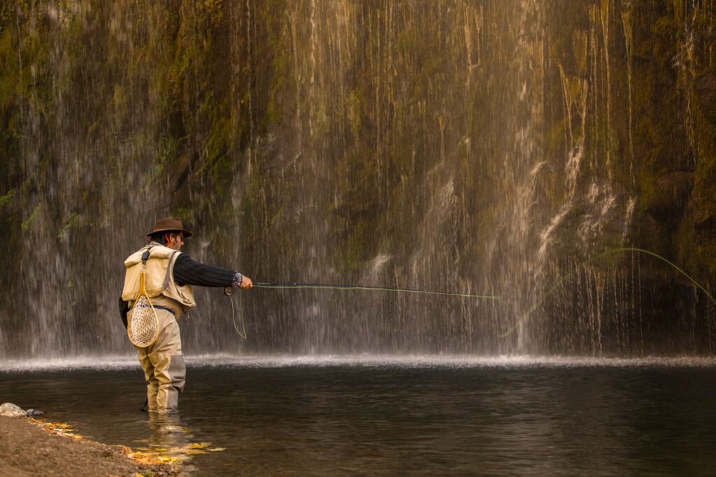 Fly fisherman casting in autumn; fall is prime time on the Arkansas River with low clear water and aggressive pre-spawn brown trout