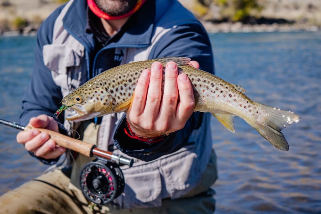 Angler holding a brown trout caught on a fly, rod and reel visible, the fish the Arkansas River is known for