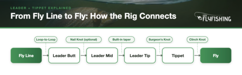 Diagram showing how fly line connects through leader butt, mid, and tip to tippet and fly, with the knot at each junction labeled