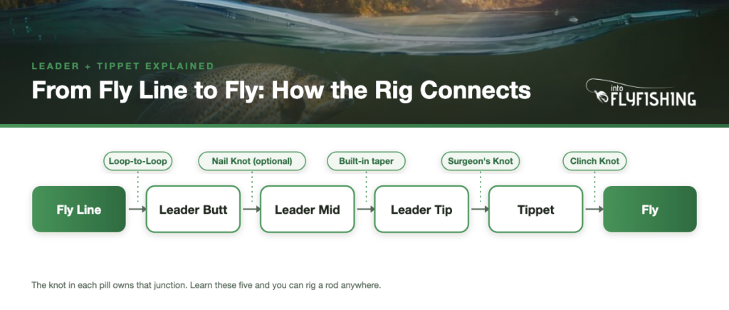 Diagram showing how fly line connects through leader butt, mid, and tip to tippet and fly, with the knot at each junction labeled