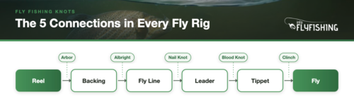 Diagram of the five connections in a fly fishing rig from reel to fly with the knot for each junction