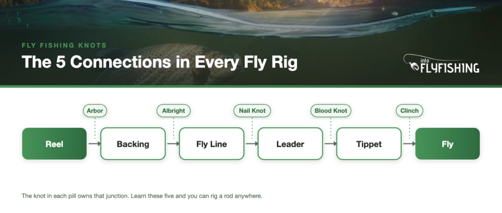 Diagram of the five connections in a fly fishing rig from reel to fly with the knot for each junction