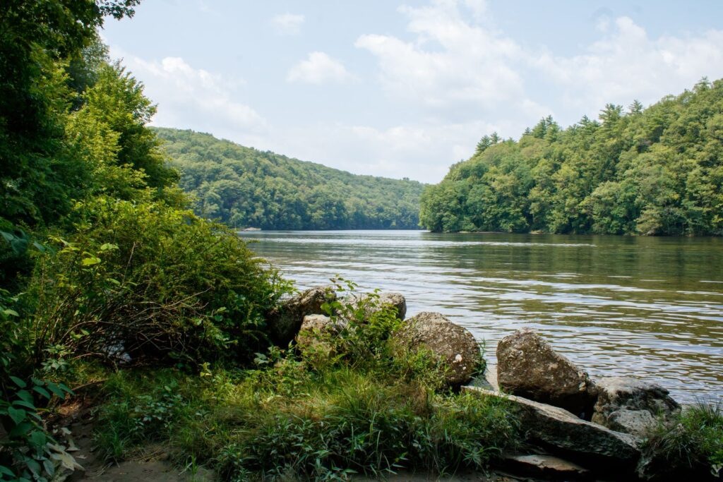A river pool seen from the bank, with rocks in the foreground and slow water at the tail