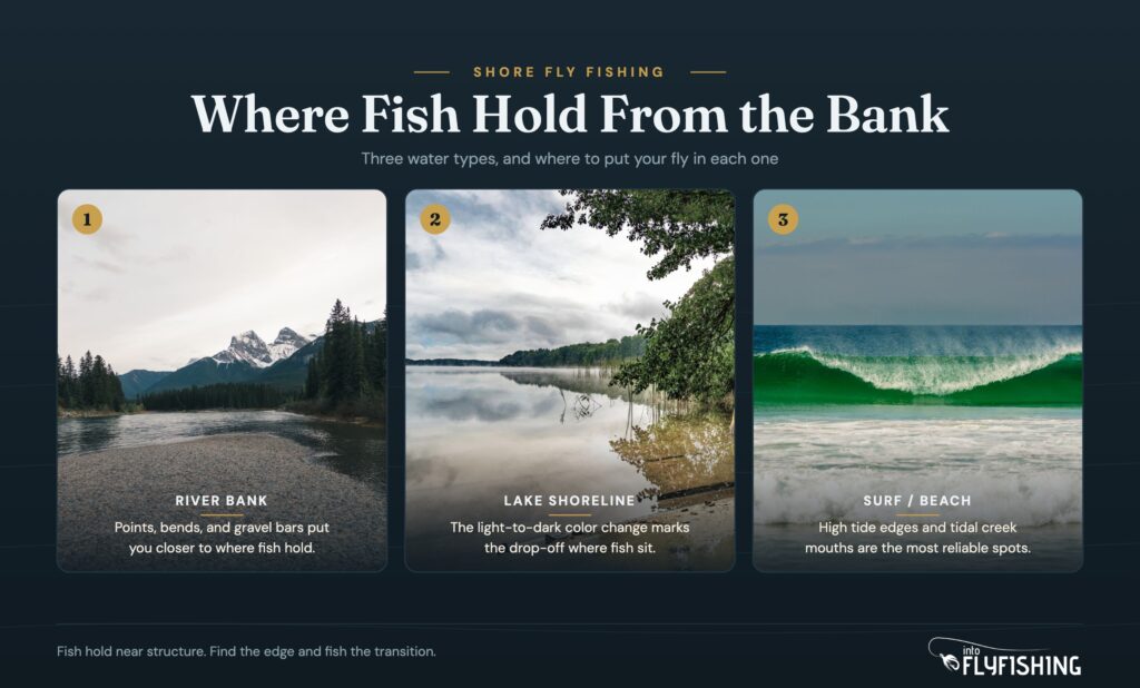 Where fish hold from three types of shore: a river bank, a lake shoreline, and a surf beach