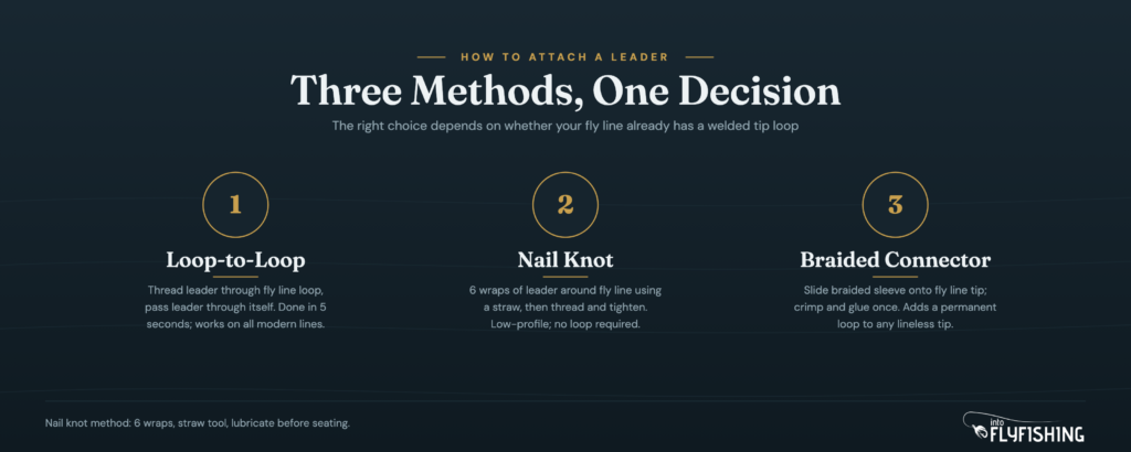 Three methods for attaching a leader to a fly line: loop-to-loop, nail knot, and braided connector