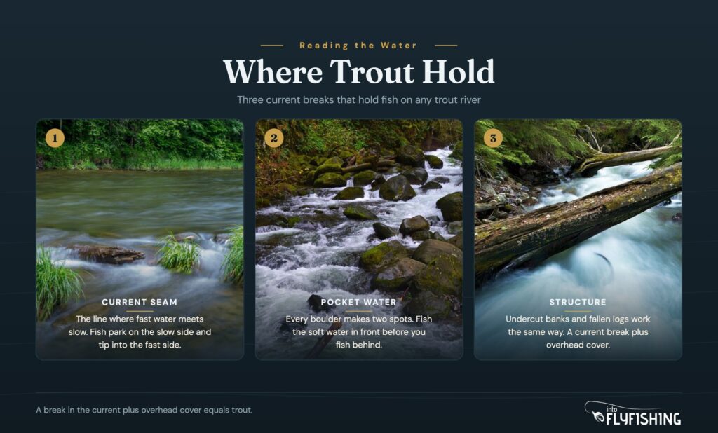 Three photo panels showing where trout hold on a river: a current seam, pocket water around boulders, and a fallen log providing structure