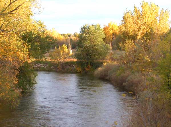 Cache la Poudre River flowing through northern Fort Collins in autumn
