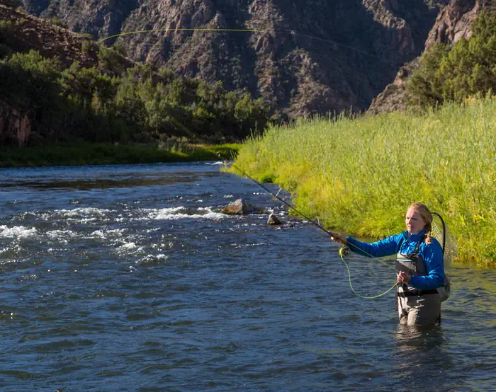 An angler casting while wading in the Gunnison Gorge Wilderness.
