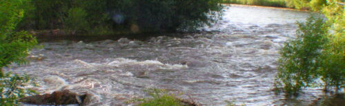 Cache la Poudre River at Lions Park on the Poudre River Trail in Laporte, Colorado